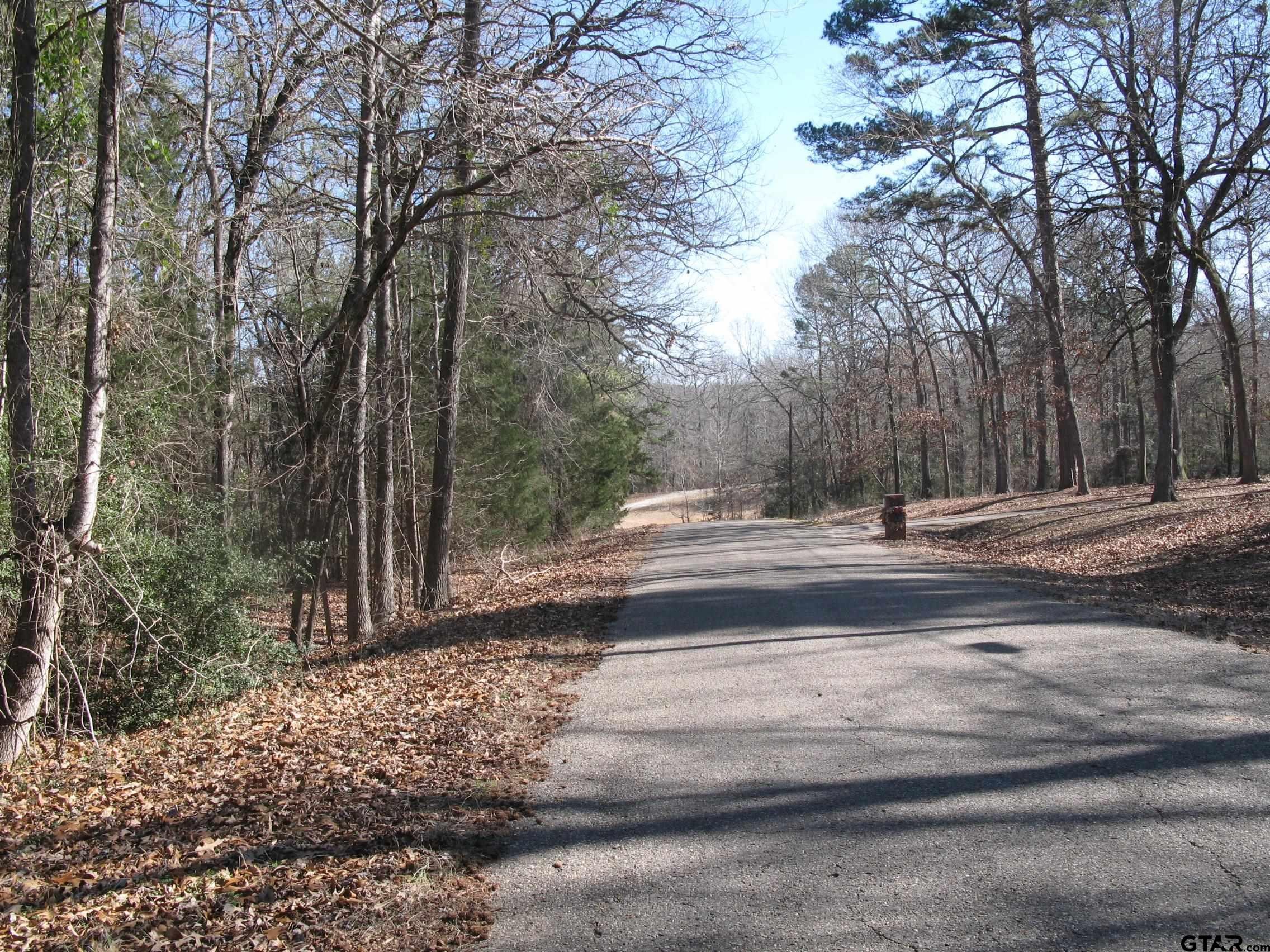 Single Family - to be determine County Rd 2337, Tyler, TX