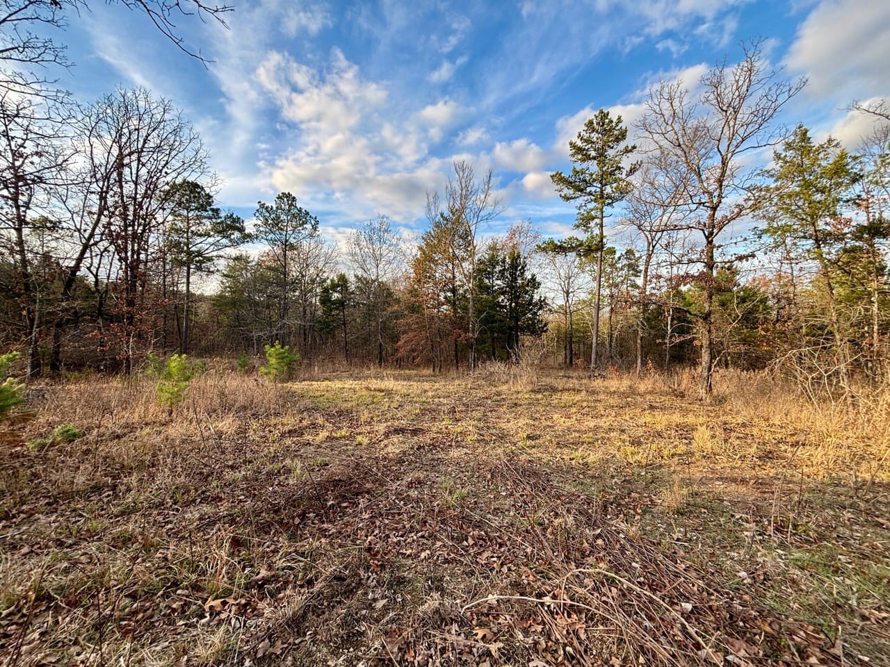 Other - 100 White Rd, Heavener, OK