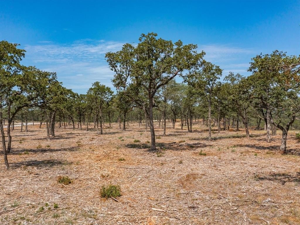 Other - Choate lot: 12, Bowie, TX