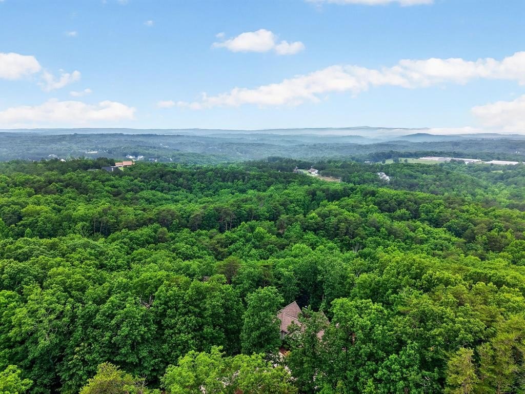 Other - Ridgeside Court lot: 293, Jasper, GA