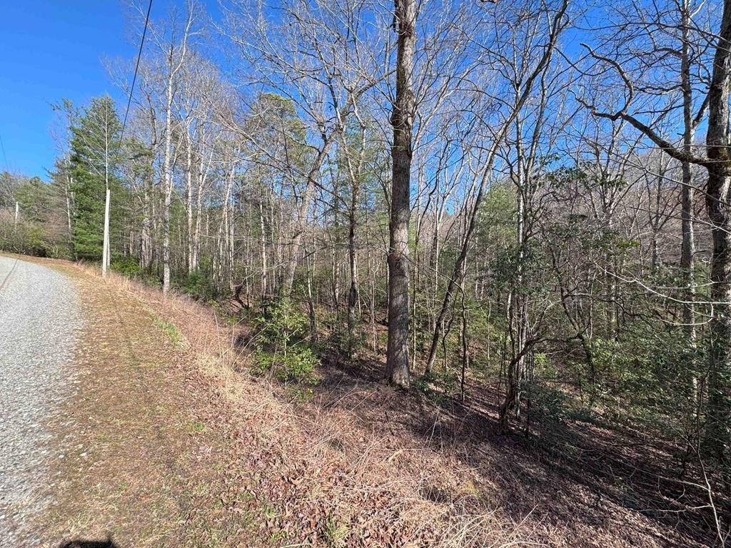 Other - LOT 34C Snowbird Trail, MARBLE, NC