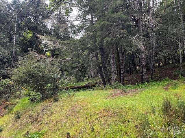 Other - 24403 Cypress Drive, Willits, CA