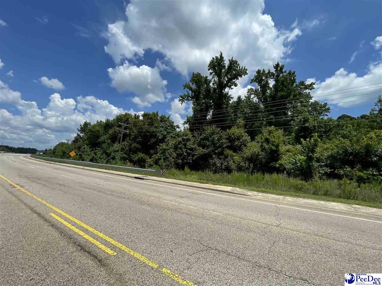 Other - TBD Cottingham Blvd, Bennettsville, SC