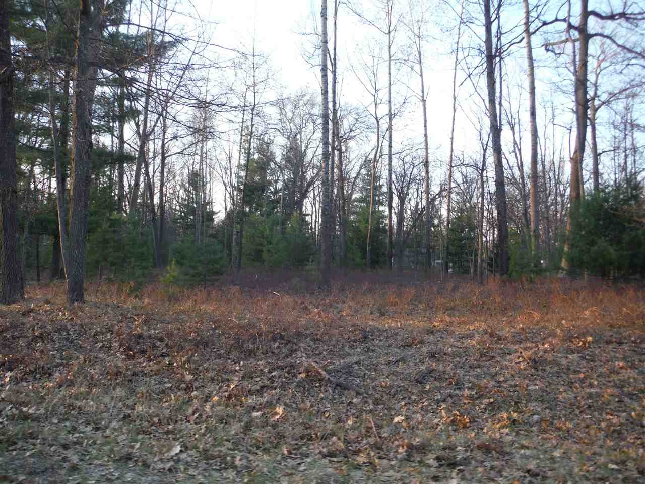 Other - Indian Oaks Lot 29, Prudenville, MI