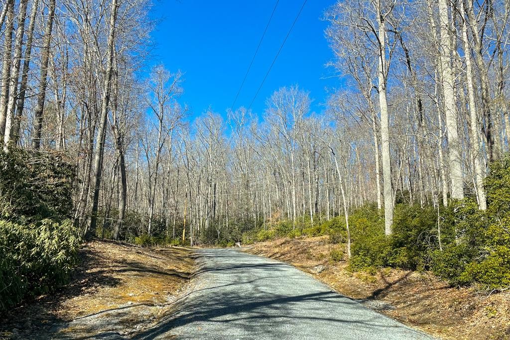 Other - 80B Woodland Way lot: 80B, Tazewell, VA