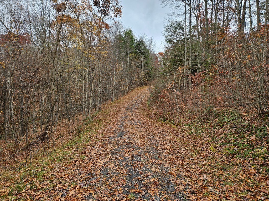 Other - Fox Hollow Dr lot: 17, Bastian, VA
