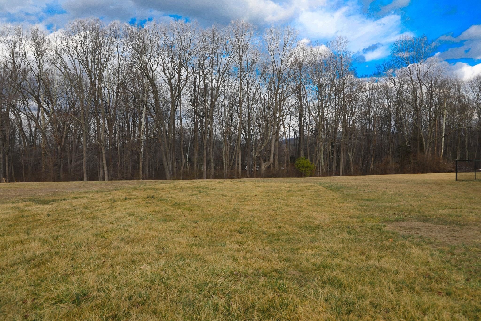 Single Family 4BR 3BA - 232 MINE BRANCH RD, CRIMORA, VA