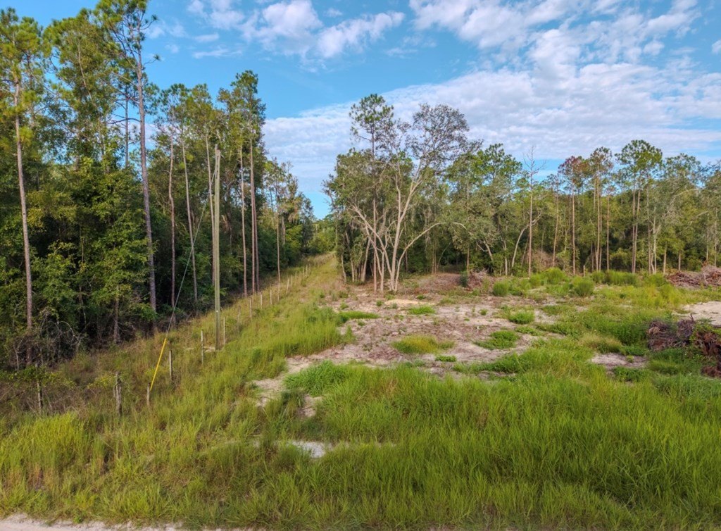 Other - 374 796th St, Old Town, FL
