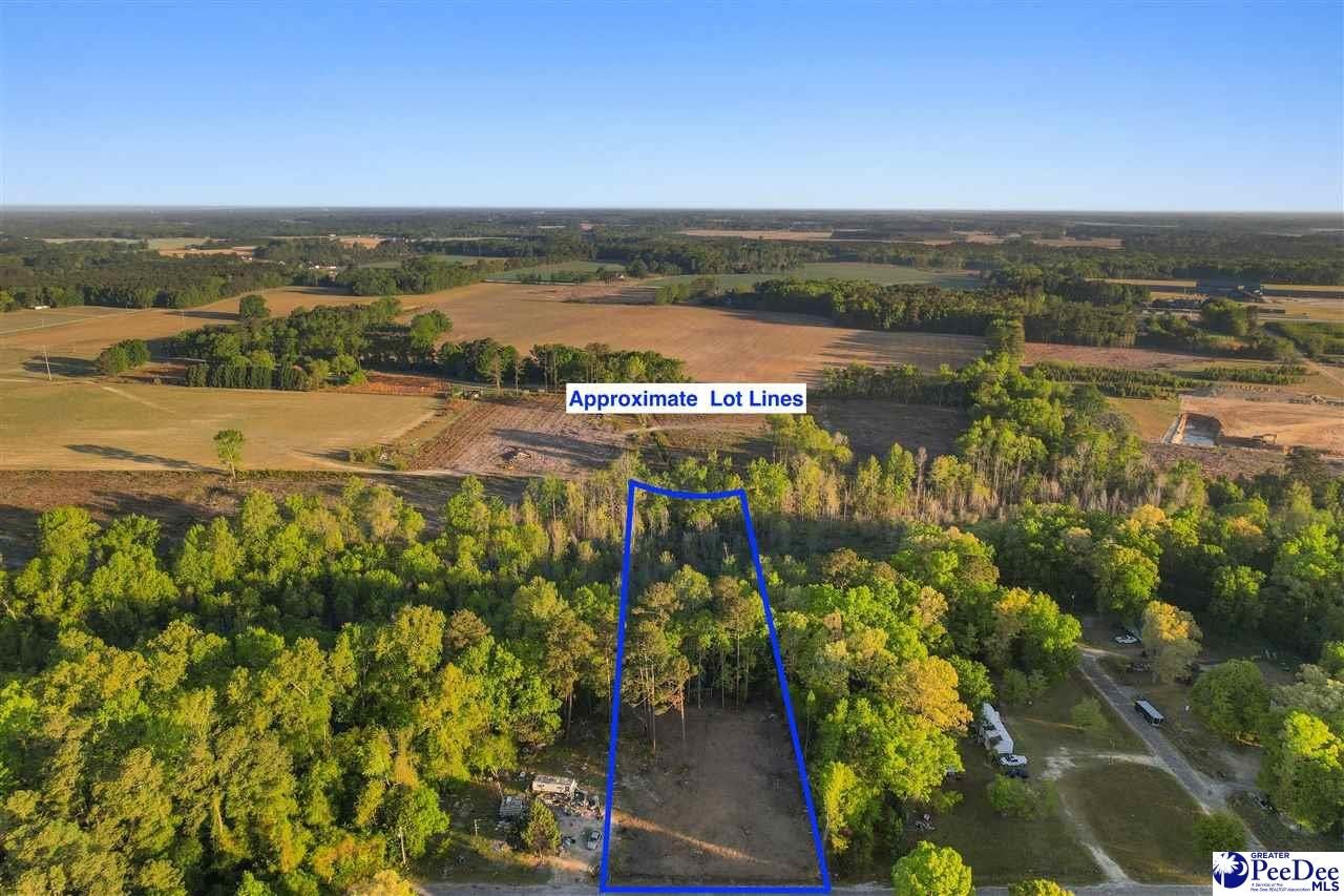 Manufactured Housing - Lot 29 Bronco Road, Darlington, SC