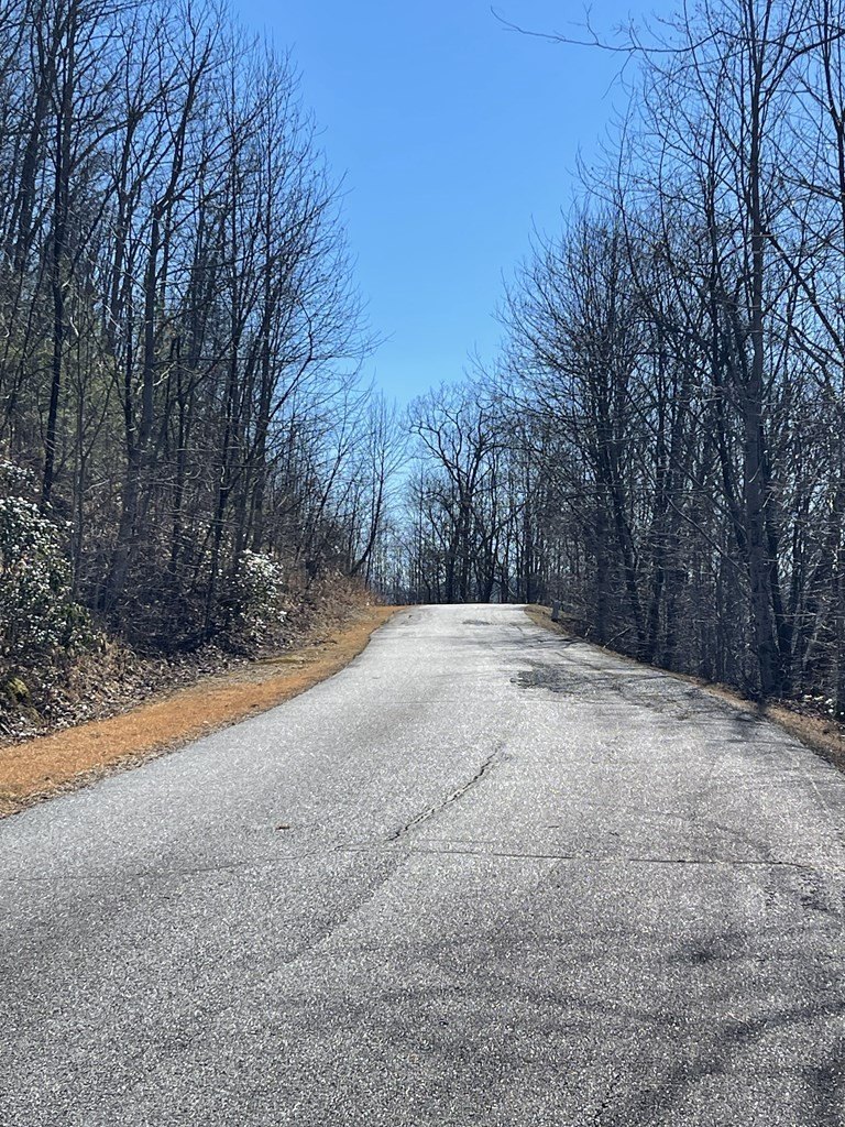 Other - Lot 29J Ash Branch Rd,, HAYESVILLE, NC