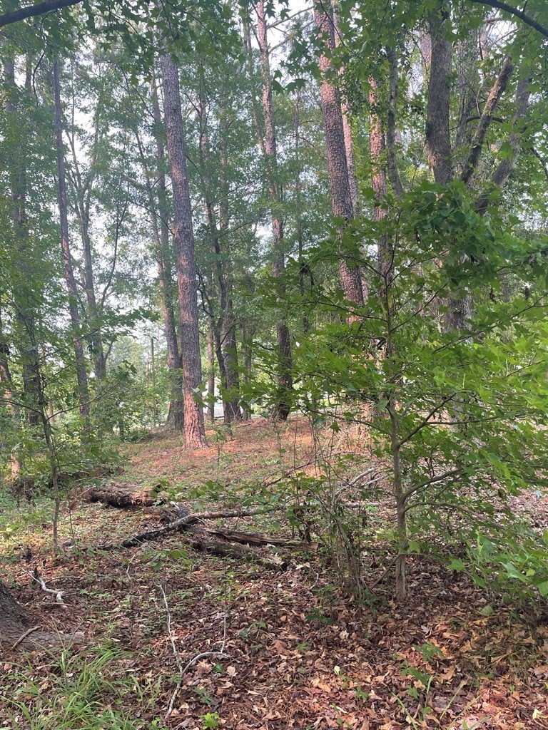 Other - Gin Pond Drive, Summerton, SC