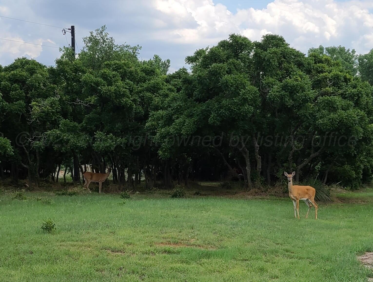 Other - 416 Dana Dr, Howardwick, TX