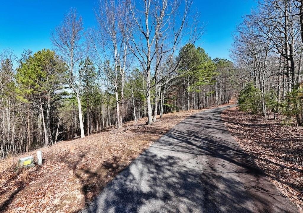 Other - Lot 29 Loftis Mountain, Blairsville, GA