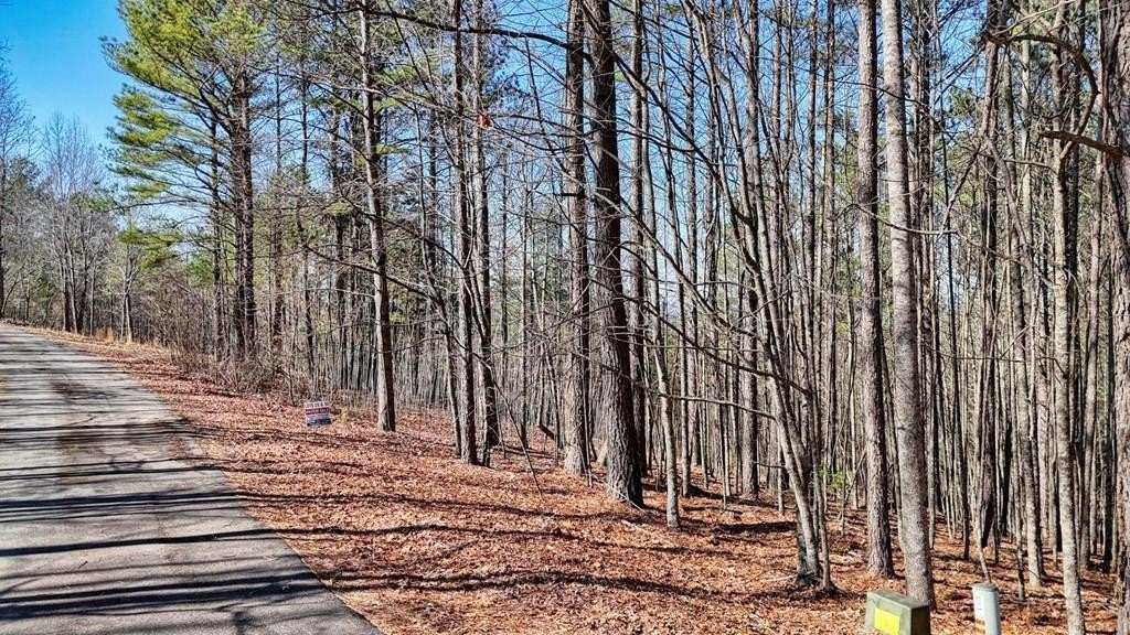 Other - Loftis Mountain lot: 29, Blairsville, GA