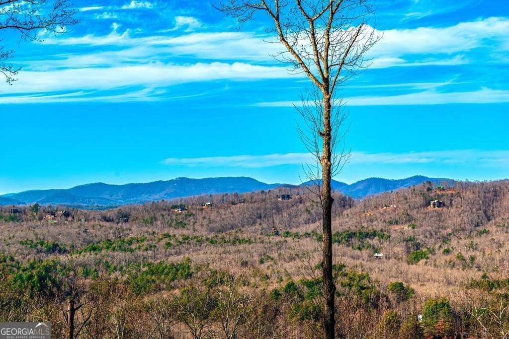 Other - LOT 9 Scouts OVLK, Morganton, GA