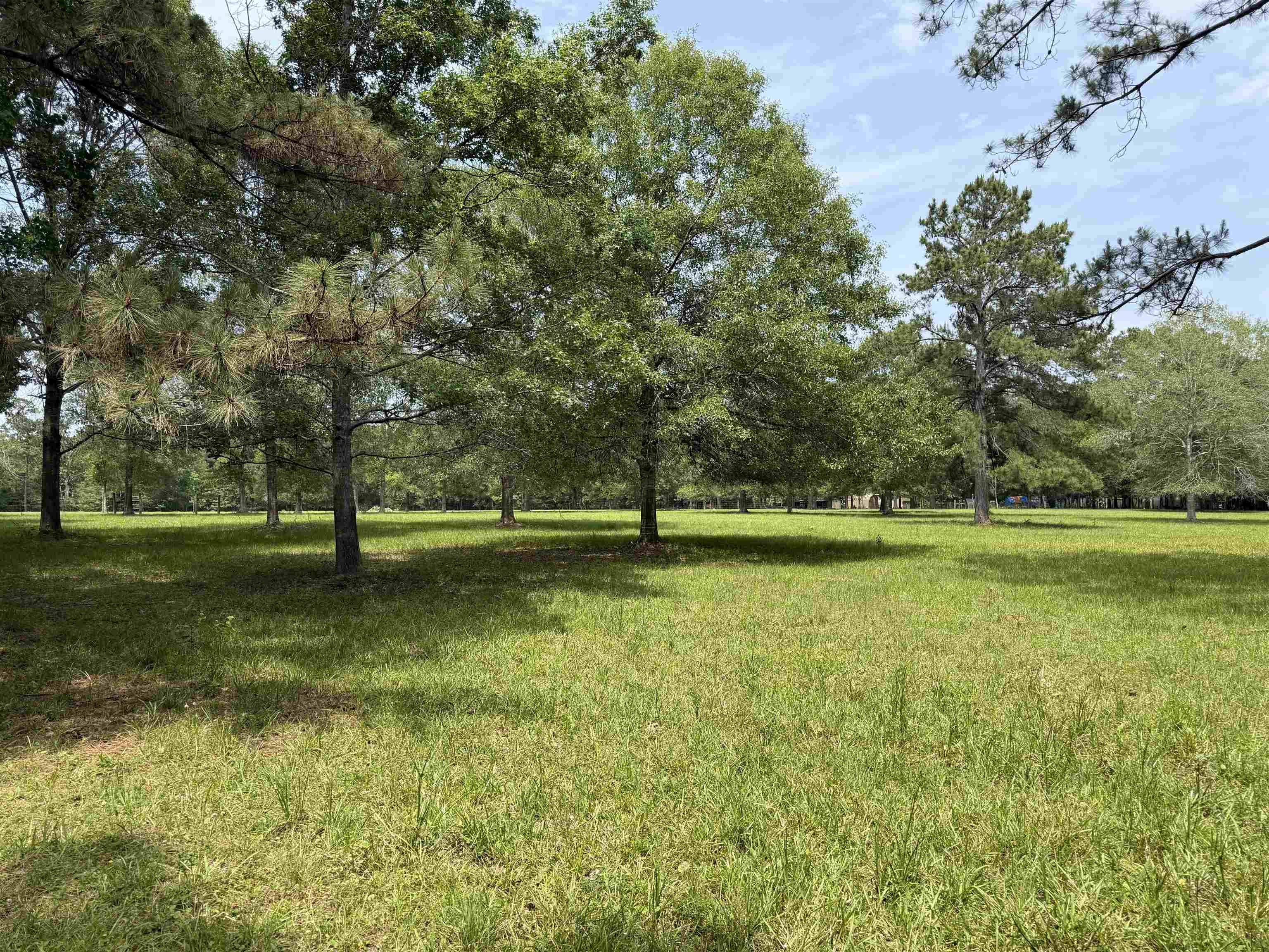 Other - Nash Rd., Kountze, TX