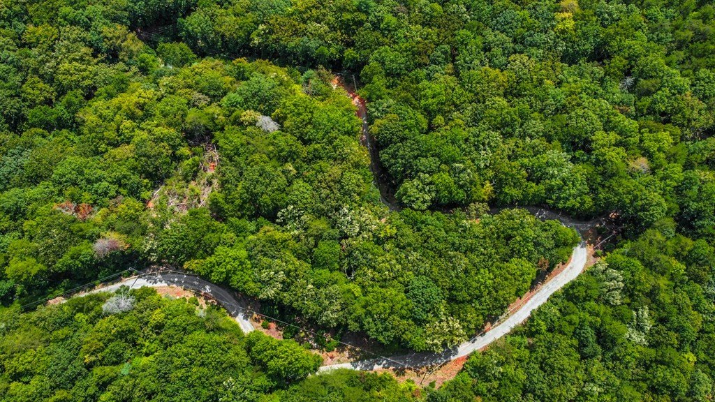 Other - 4.69 Ac Rockwater Road, Ellijay, GA