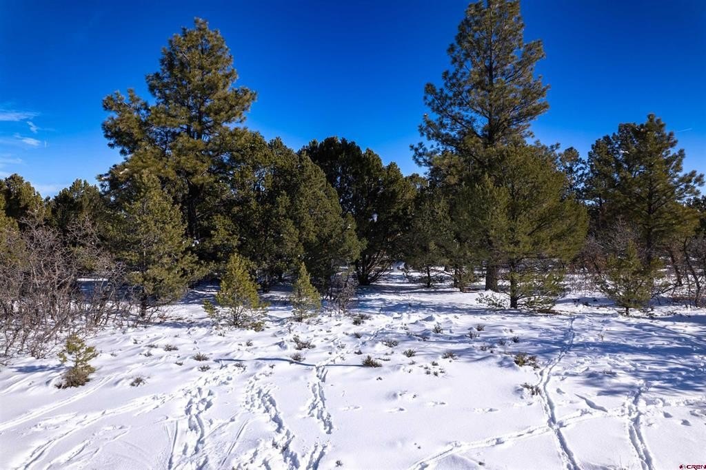 Single Family - Lot 555 N Badger Trail, Ridgway, CO