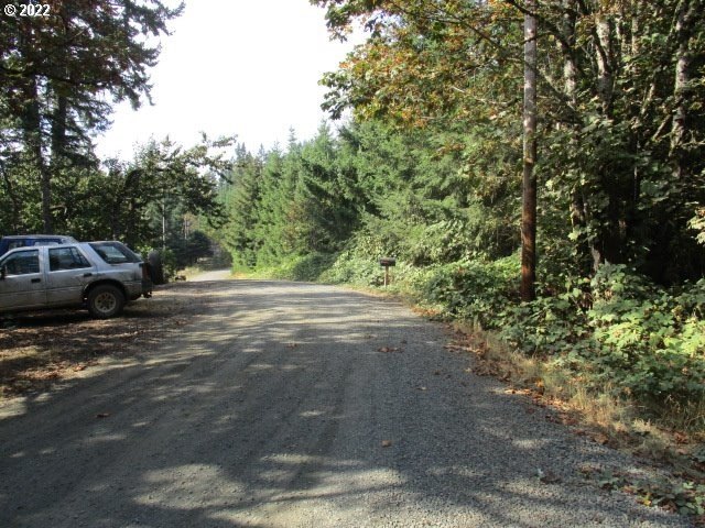 Other - Hazelnut Ridge Rd, ScottsMills, OR