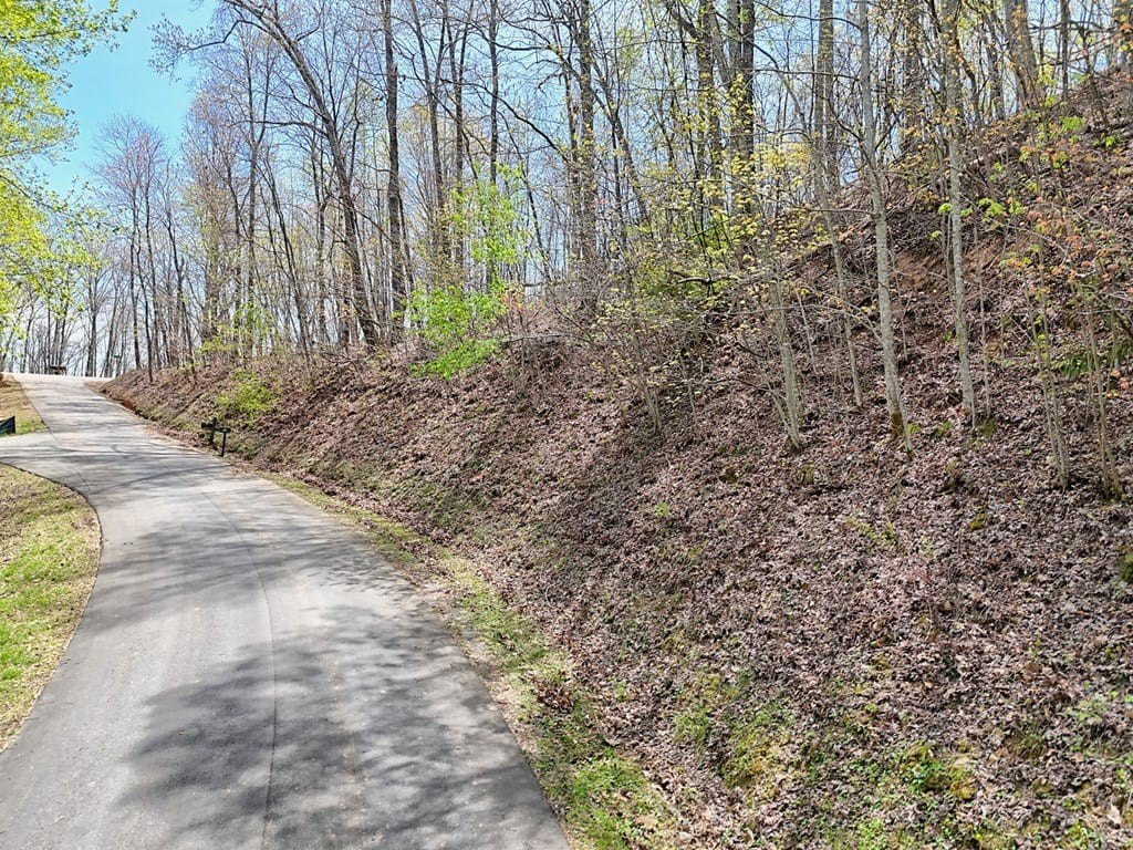 Other - Lot 86 Eagles View, Hayesville, NC