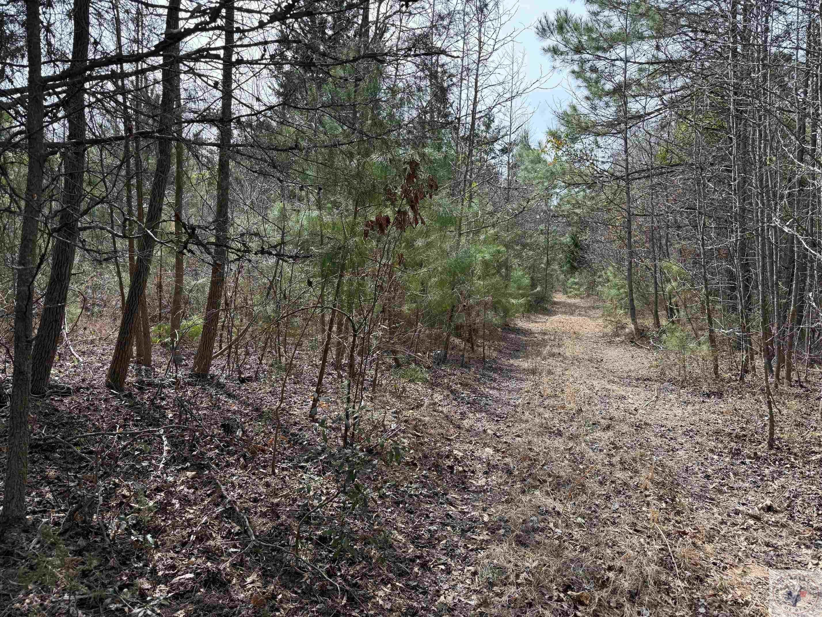 Other - CR 2343 & CR 2339, Douglassville, TX