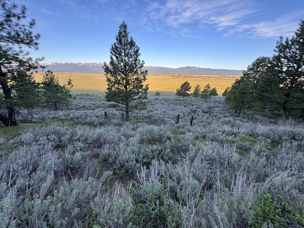 Plots and Land - Tax 6&7 Finlandia Road 6&7, McCall, ID