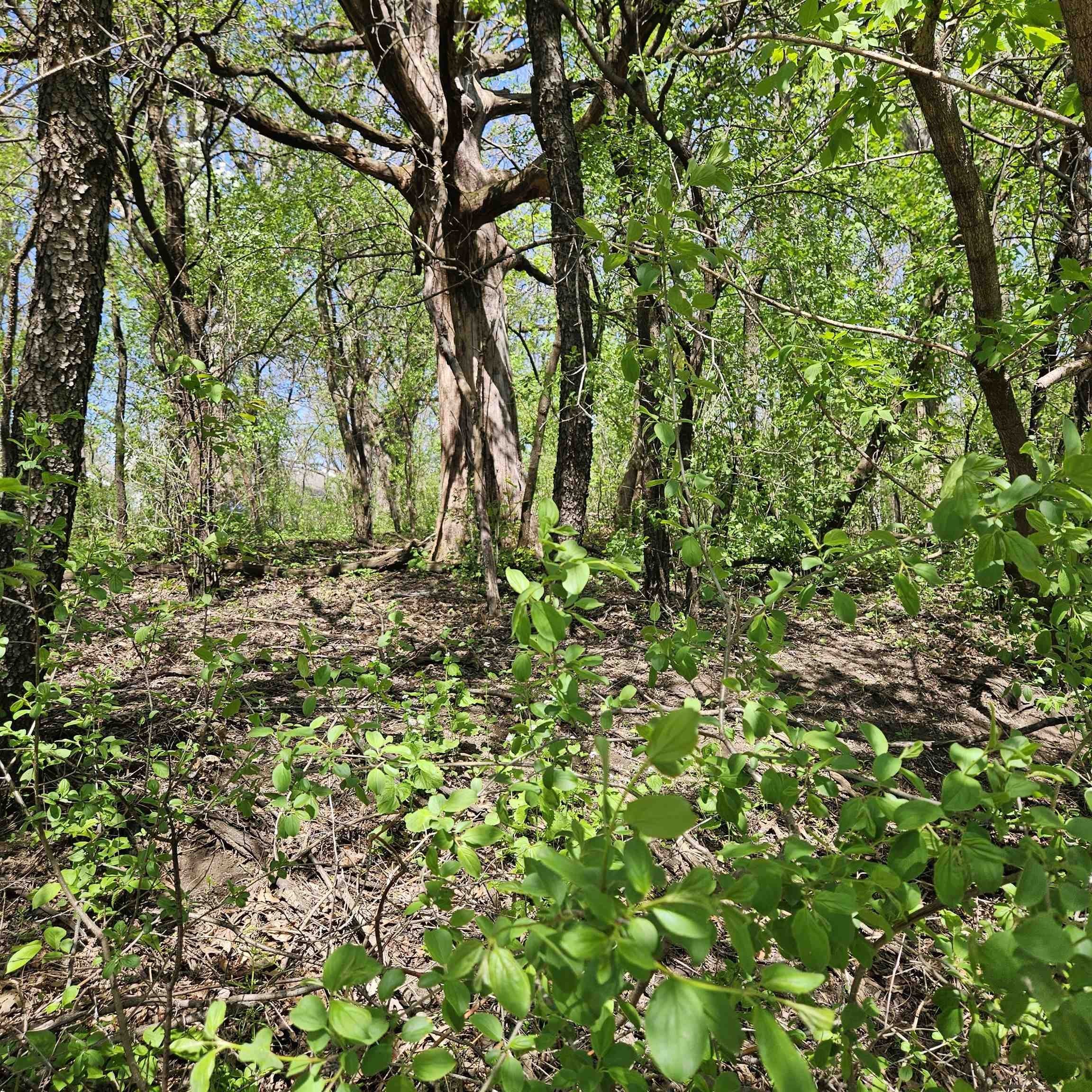 Other - 2930 W Memorial Drive lot: 12, Janesville, WI