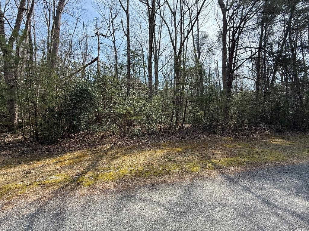 Single Family - Lot 44A Laurel Point Road, Lancaster, VA