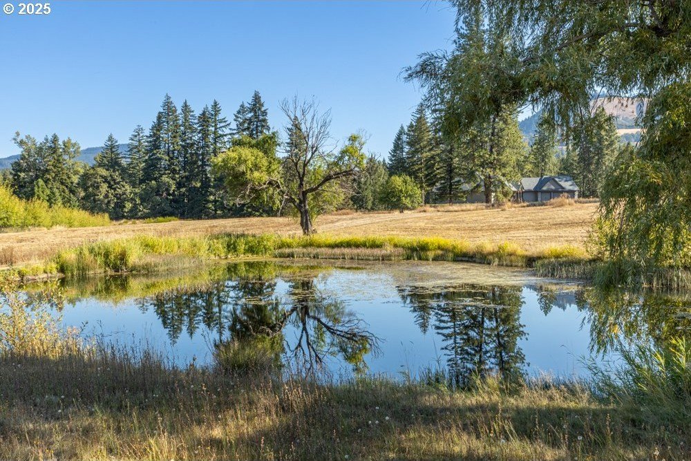 Single Family - Lot 16 Husum Greens, White Salmon, WA