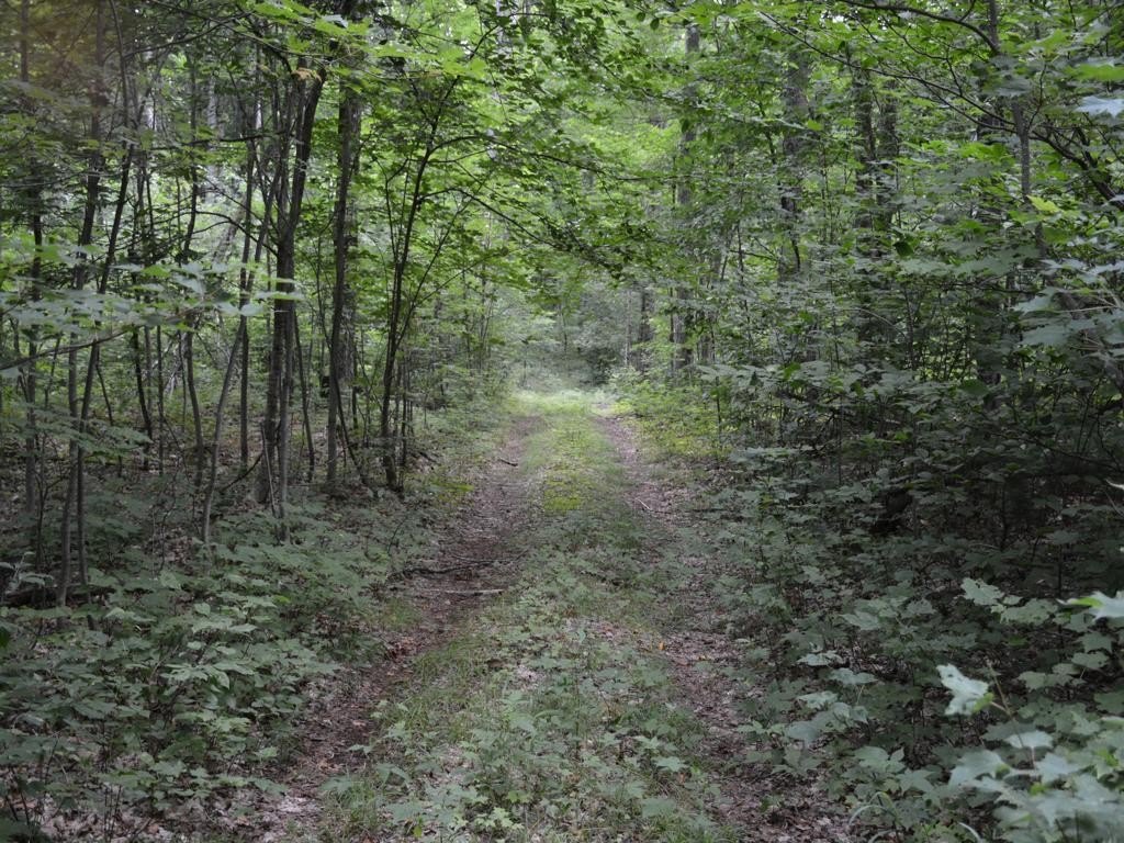Other - M-28, McMillan, MI