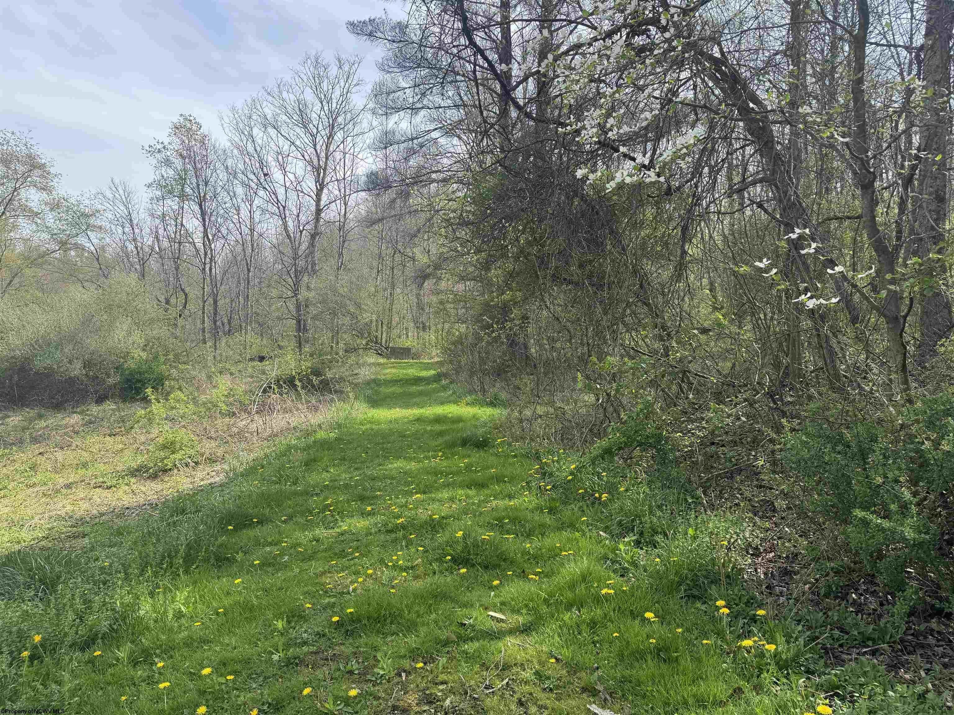 Plots and Land - TBD Palmer Drive, Fairmont, WV