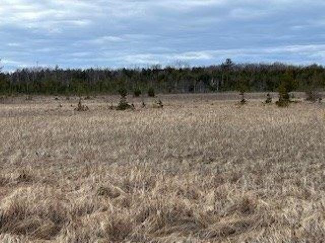 3061 LAKE FOREST Park Rd  