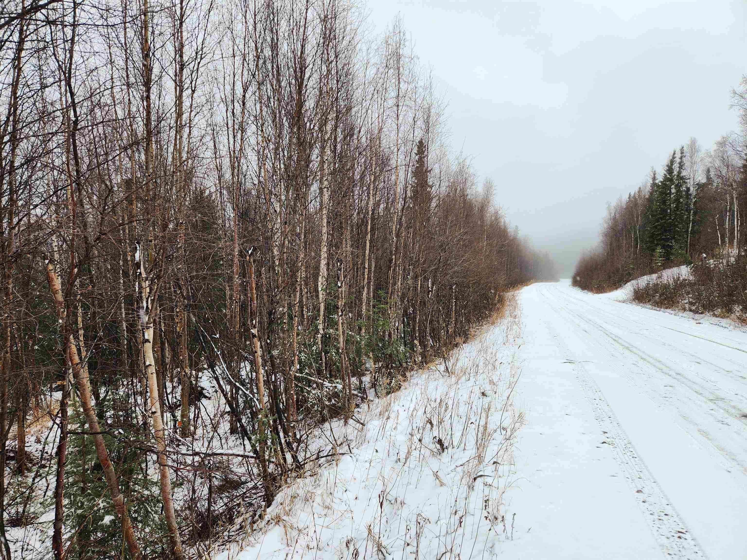 Other - NHN LEUTHOLD DRIVE, Fairbanks, AK