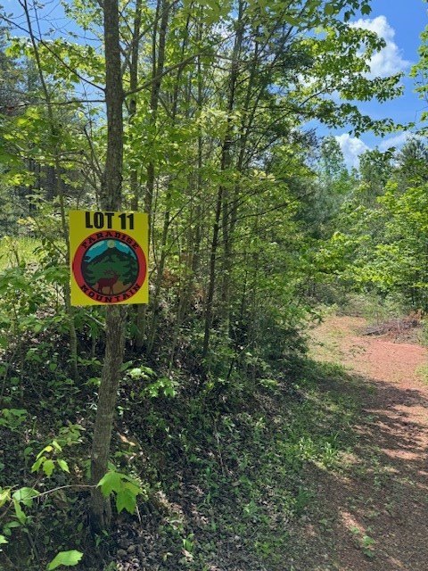 Other - Lot 11 Paradise Mountain, MARBLE, NC