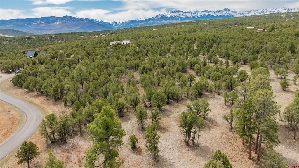 Single Family - Lot 6 Waterview Court, Ridgway, CO