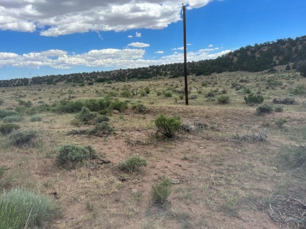 Other - County Rd 530, Gardner, CO