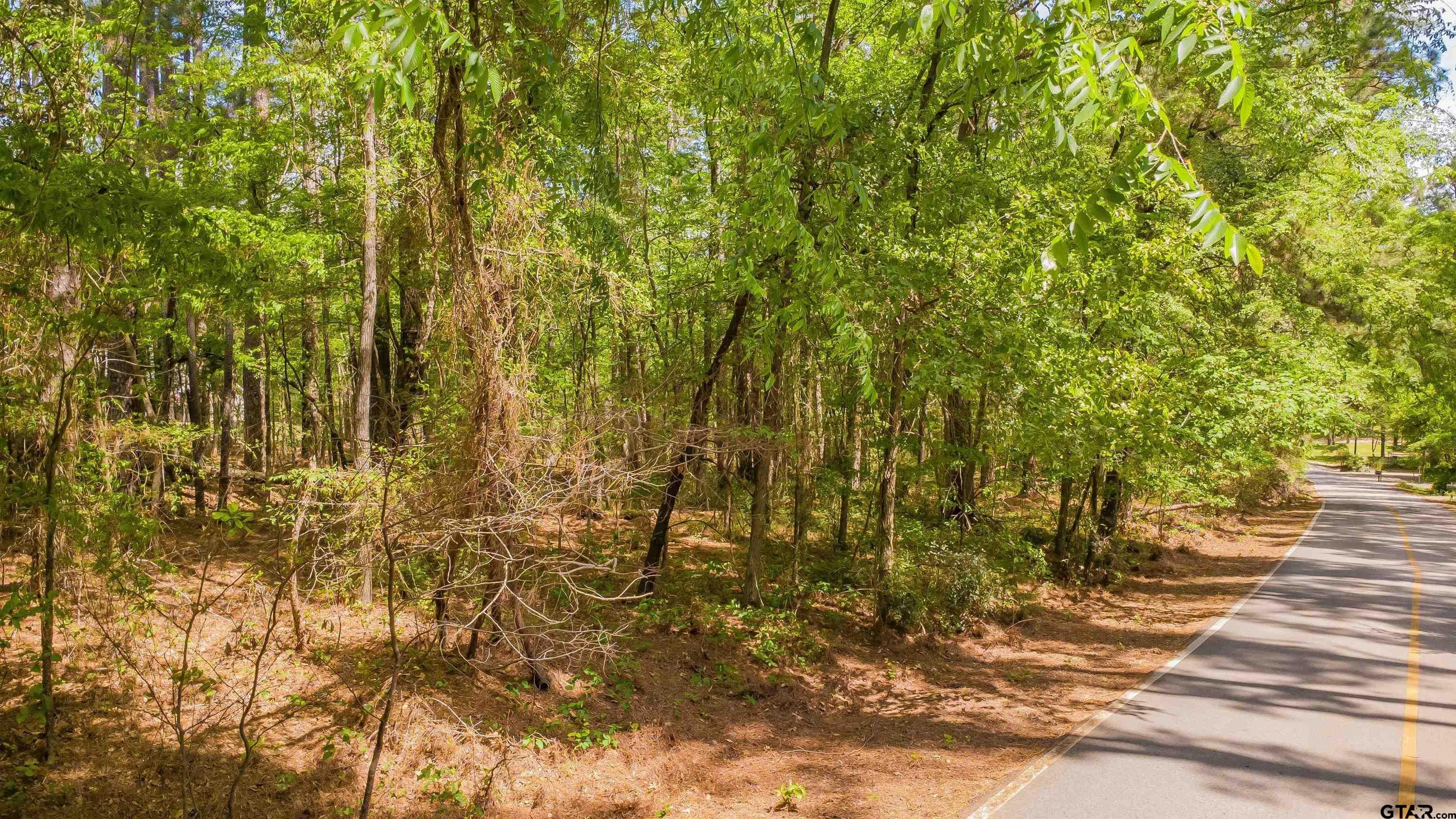Other - 1723 Pineview Lane, Hideaway, TX