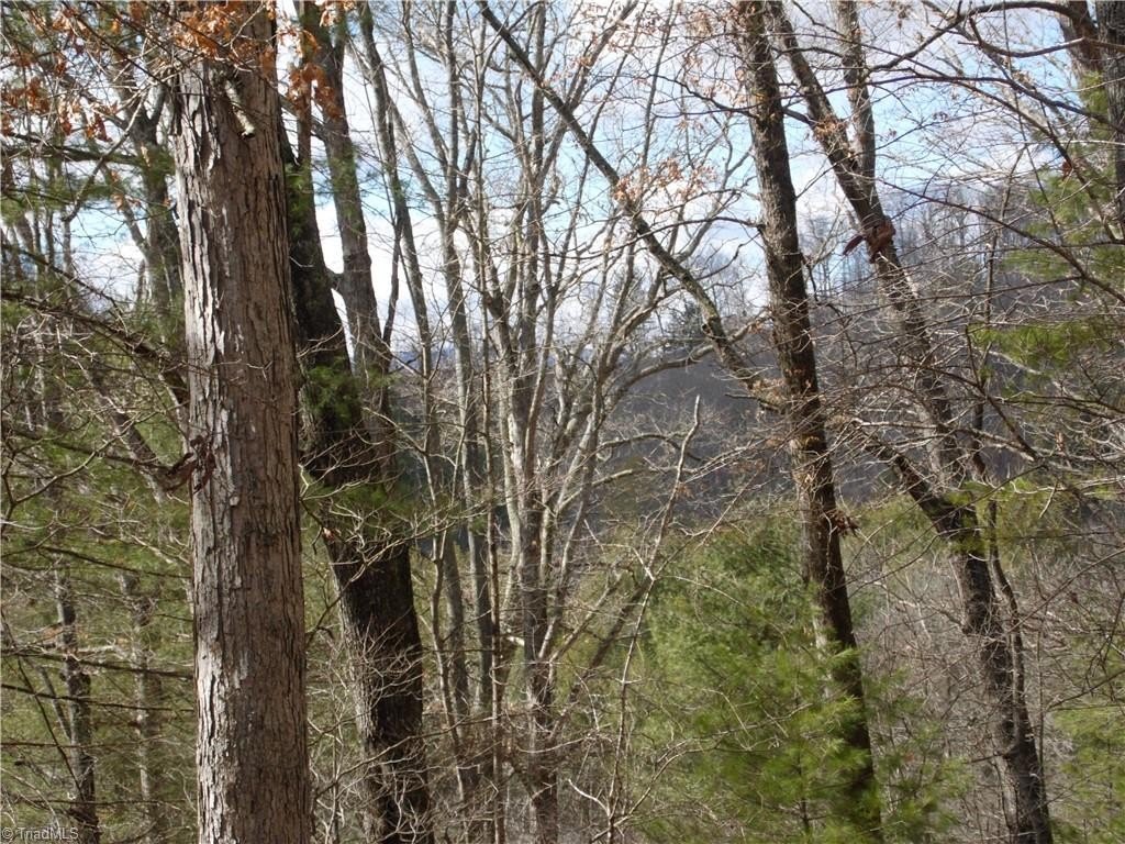 Other - Happy Woods Road, Grassy Creek, NC
