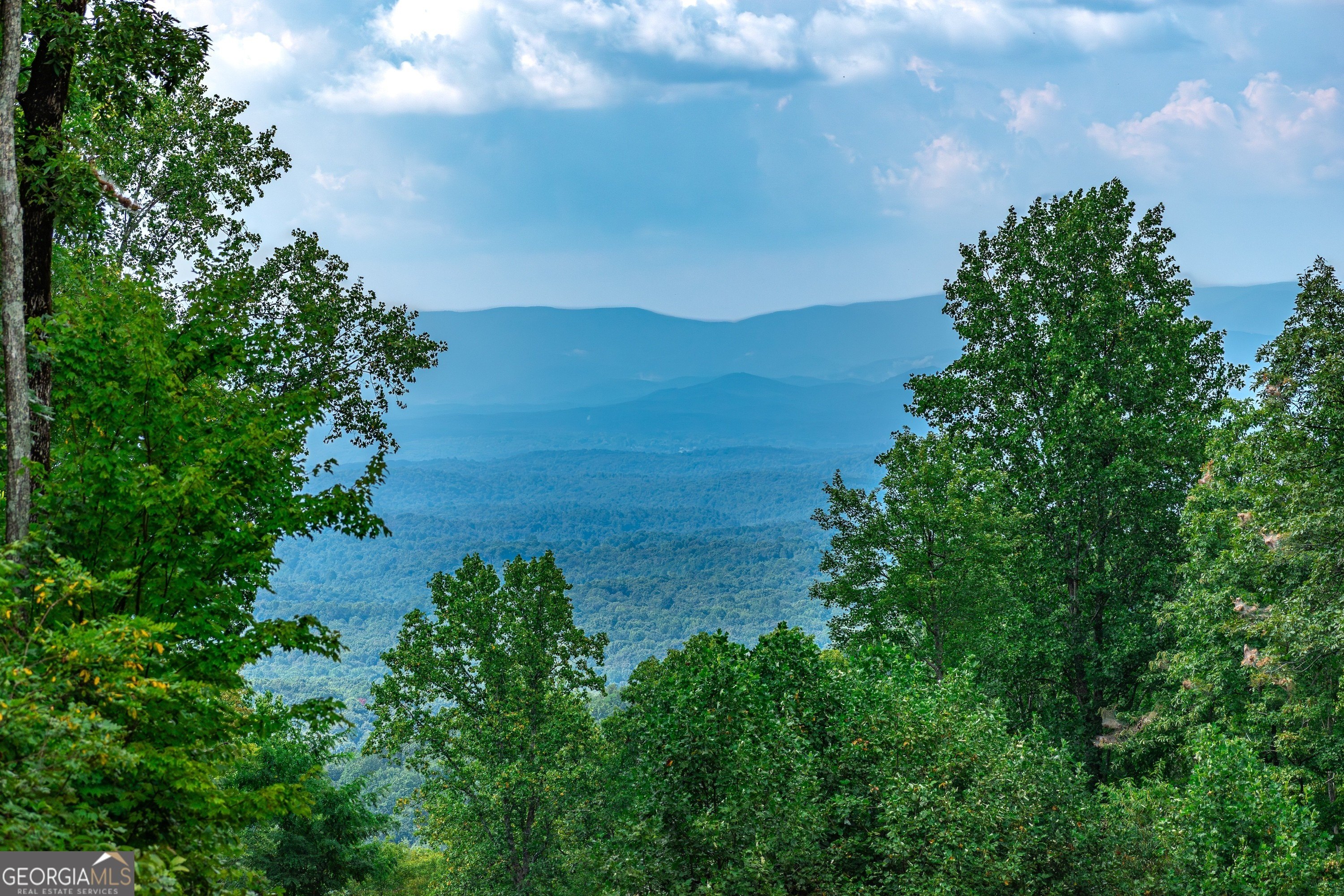 Other - LOT 219 Stone Cliff DR, Jasper, GA