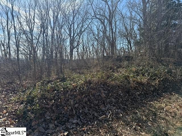 Other - 206 Eagle Rock Road, Landrum, SC