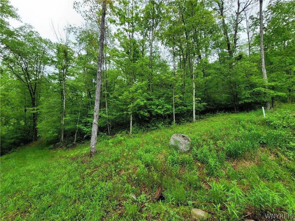 Other - 0 Co Road 24- Lot 1, Grove, NY
