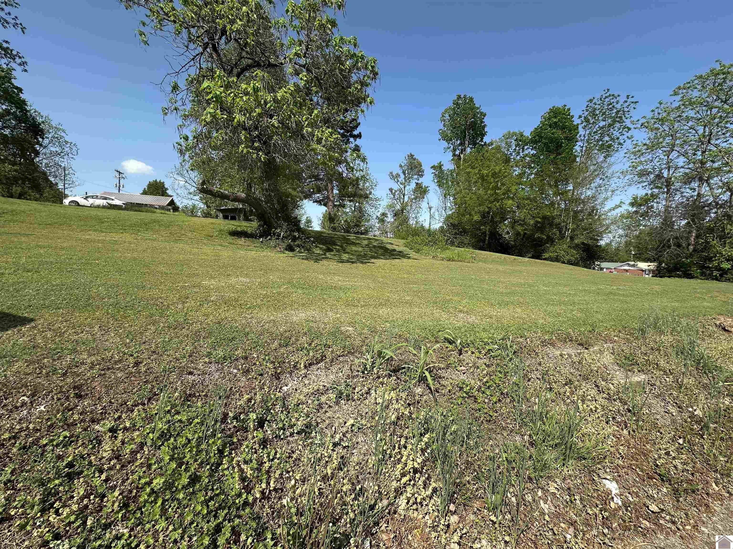 Other - 0 Doran Drive, Wingo, KY