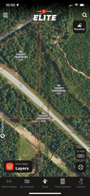 Single Family - 0 9 ac Hwy 10, Abbeville, AL