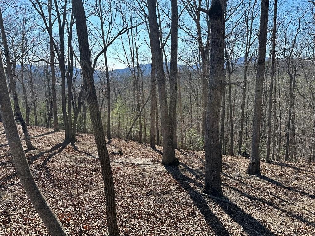 Other - Lot 55 Asheland Cove, Young Harris, GA