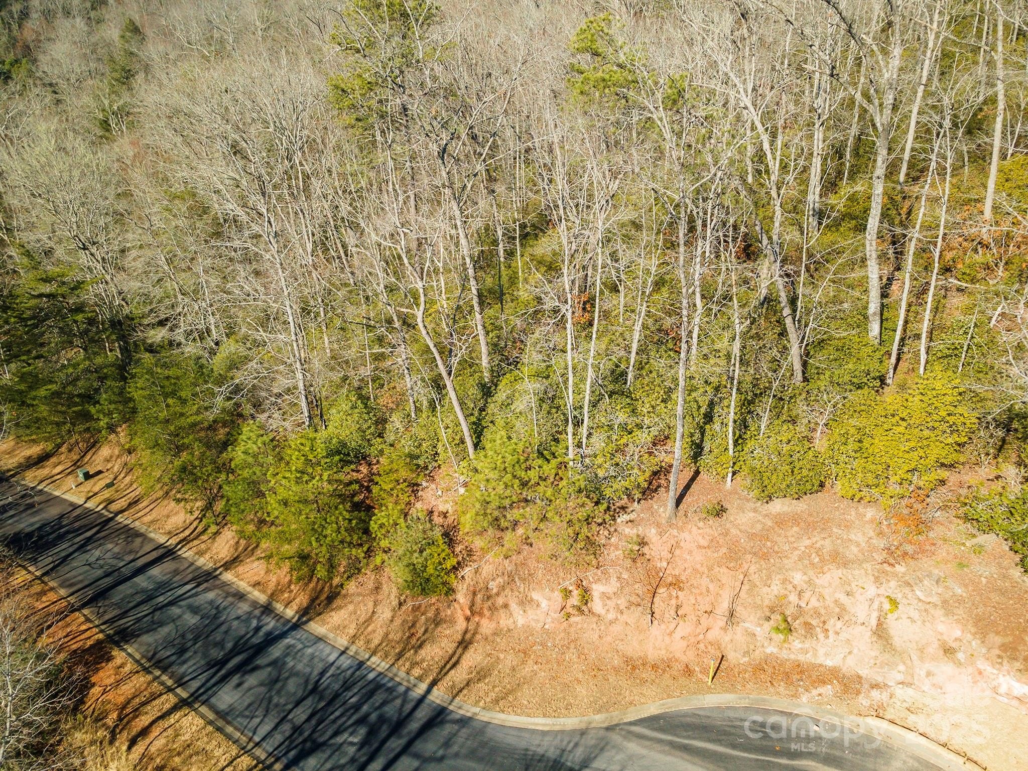 Other - 99999 Caddis Lane 92, Horse Shoe, NC
