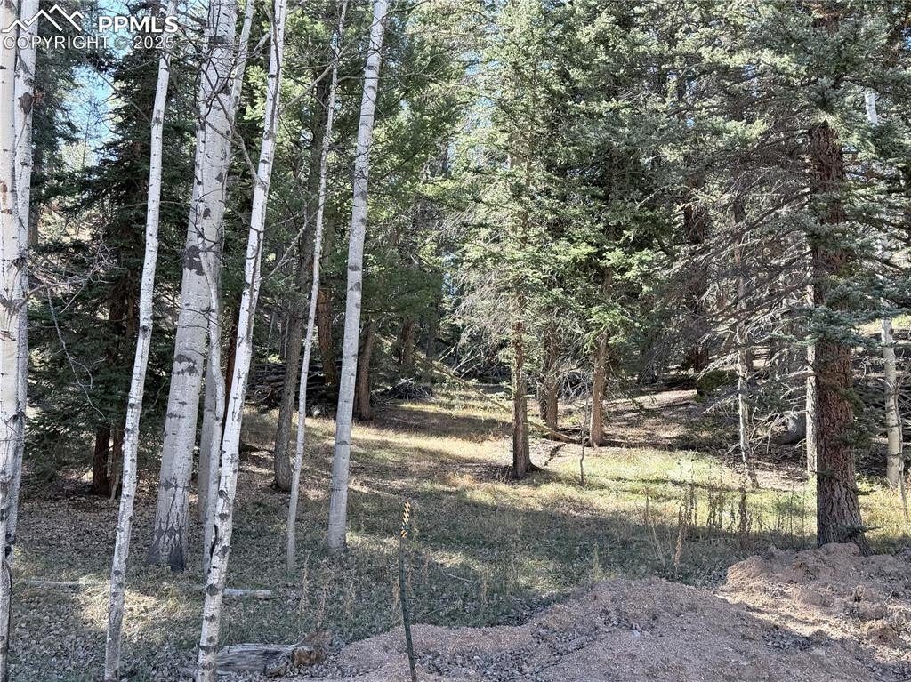 Other - 453 Homestead Drive, Woodland Park, CO