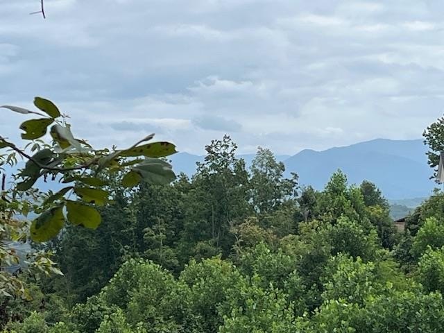 Other - Lot 12 Forest View Drive, Hiawassee, GA