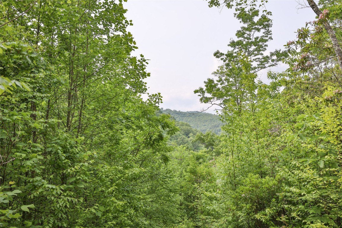 Other - White Rock Road, Cullowhee, NC
