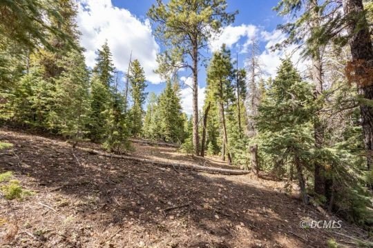 Other - 955 E Bonanza Rd, Duck Creek Village, UT