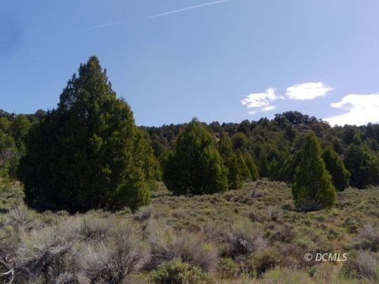 Other - Lot M-8 Havasupai Dr, Alton, UT
